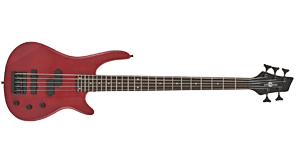 lexington-5-string-bass