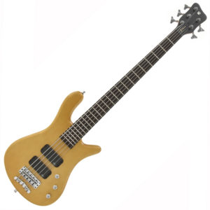 Warwick-5-string