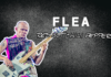 Flea's Bass Amplifier rig